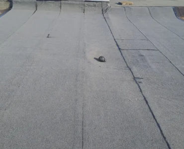 WhatsApp Image 2026-02-18 at 21.47.49 (2)